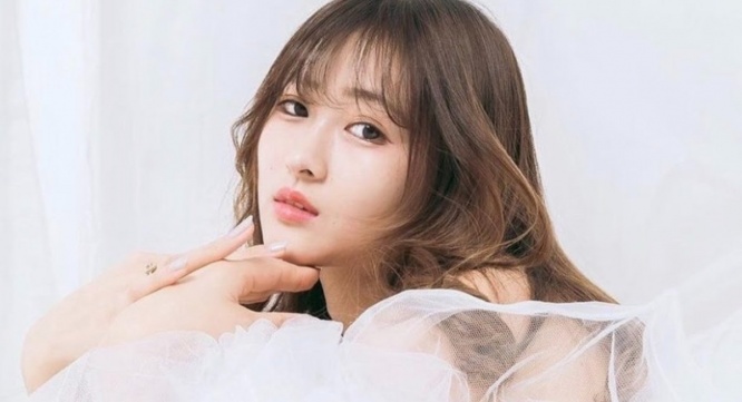 株式会社ローズクリエイトのプレスリリース画像