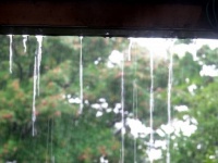 「突然の大雨に、2人の娘と近くのガレージで雨宿り。そこに、車に乗った若い男性が入ってきて...」（奈良県・50代女性）