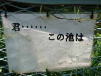 よごれんさんのツイートより
