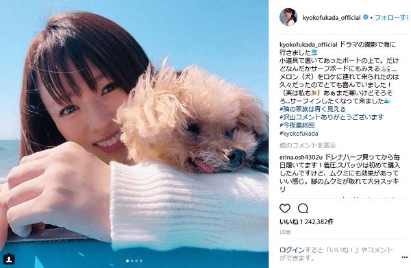 深田恭子 愛犬と一緒に海へ 可愛すぎる写真投稿で 癒される の声 1ページ目 デイリーニュースオンライン