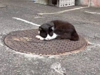 日本有数の温泉地・別府に冬が近づくと...　ポッカポカな〝風物詩〟に8.7万人ほっこり