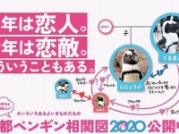 ペンギンたちのムフフな恋愛事情が分かる、「ペンギン相関図2020」が公開中！（京都水族館・東京すみだ水族館）
