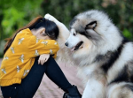 【力が欲しいか？】人気の傑作ボケて１５選（8/25）