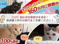 特定非営利活動法人 動物愛護・福祉協会６０家(ロワや)のプレスリリース画像