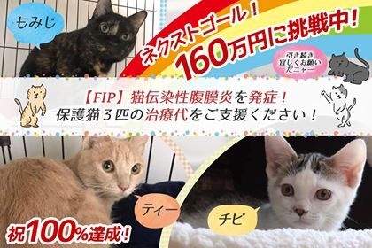 特定非営利活動法人 動物愛護・福祉協会６０家(ロワや)のプレスリリース画像