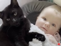 愛猫と赤ちゃんはソウルメイト？「この子は私が見守っていくニャ！」と、常にその傍を離れない黒猫