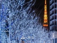 都会的なSNOW＆BLUE