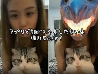 飼い主の顔が豹変！突如化け物に。猫の反応は？