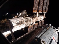 人類が宇宙で子供を作れる日が来るかも。マウス実験で受精卵の育成に成功（日本研究）