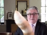 またしても猫乱入。議員のテレビ会議に尻尾で参加した飼い猫（スコットランド）