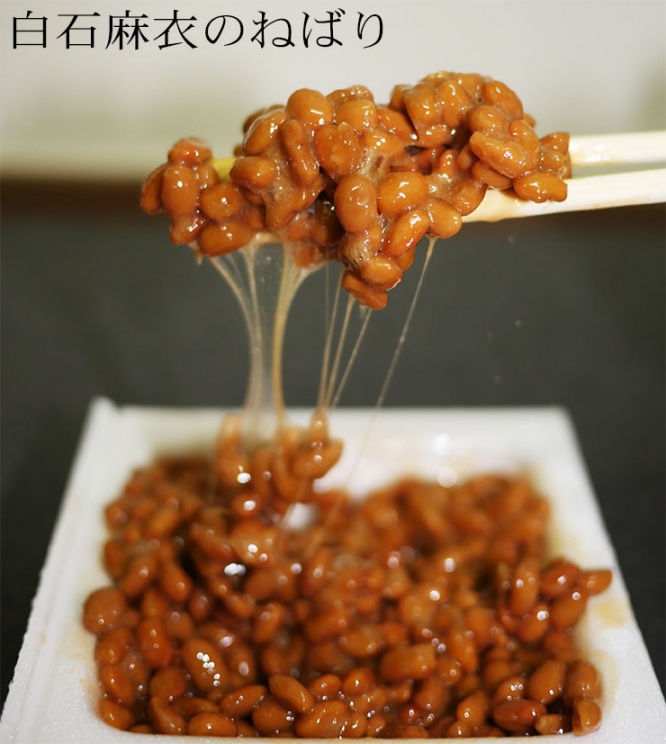 nogizaka46-natto-shiraishi1