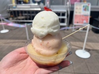 これは食べて！　「あいぱくTOKYO in SUMMER 2023」で見つけた今年注目のうますぎアイス3選