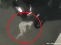 またしても怪しいヒトガタの白い歩行生物が防犯カメラに捉えられる