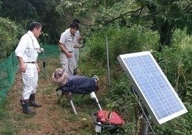 千葉県木更津市の栗畑での設置実績