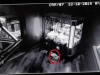 リアル・トイストーリーかな。UFOキャッチャーから勝手にぬいぐるみが飛び出す怪奇現象、その正体は？（イギリス）