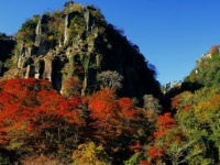 深耶馬溪の一目八景。新緑から紅葉期まで、鮮やかな景観を見せてくれる（画像提供：中津市役所）