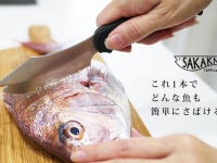 株式会社ソリッドアライアンスのプレスリリース画像