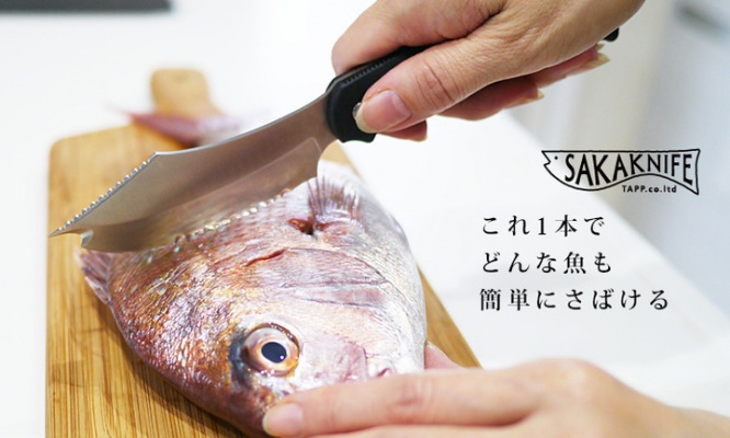 株式会社ソリッドアライアンスのプレスリリース画像