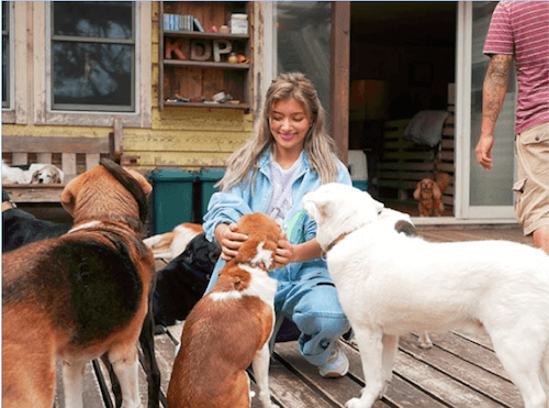 ローラ 行動力を尊敬する 犬の保健所で里親の呼びかけに称賛の声 1ページ目 デイリーニュースオンライン