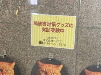 「人間は愚か」「舐められてるw」　完全に失敗している「鳩被害対策グッズの実証実験」に21万人苦笑