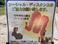 夕暮れさんのツイートより