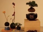 「飛行石」でも入っているのか！？　空中に浮かぶ「エア盆栽」がカッコイイ！