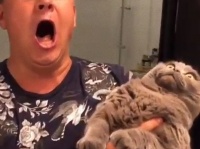 猫を抱き上げたら「シャーッ！」驚いた飼い主、オペラで威嚇返し