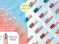 株式会社 Dear Lauraのプレスリリース画像