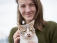 猫が飼い主にお尻を向けるのなぜ？実は飼い主への愛を表していた（米研究）