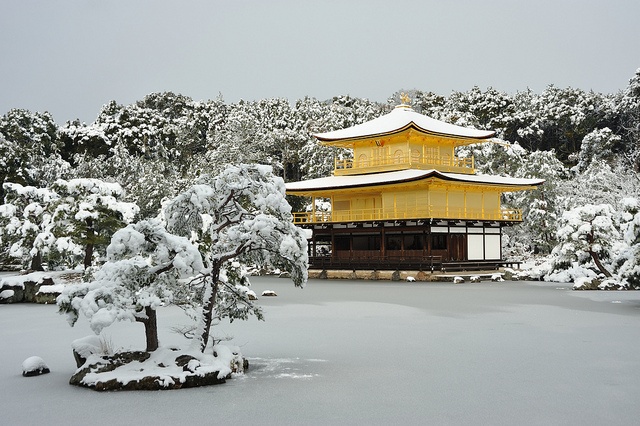雪の金閣寺。写真はイメージです（Takeshi Kubokiさん2011年撮影、Flickrより）