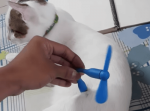 にゃんこ発電！？　猫の体にUSB電源のプロペラをつなげると…？