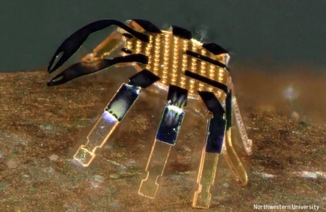 未来の世界は極小カニ型ロボットが体内で病気の治療をしたり、機械修理を行うようになるかもしれない