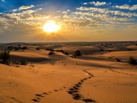 ナスカの地上絵より巨大！人の手で描かれた世界最大規模の地上絵が発見される（インド）