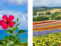 花粉から逃げられる「避粉地」とは？　花粉症の人におすすめな観光地を発見