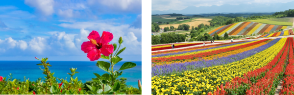 花粉から逃げられる「避粉地」とは？　花粉症の人におすすめな観光地を発見