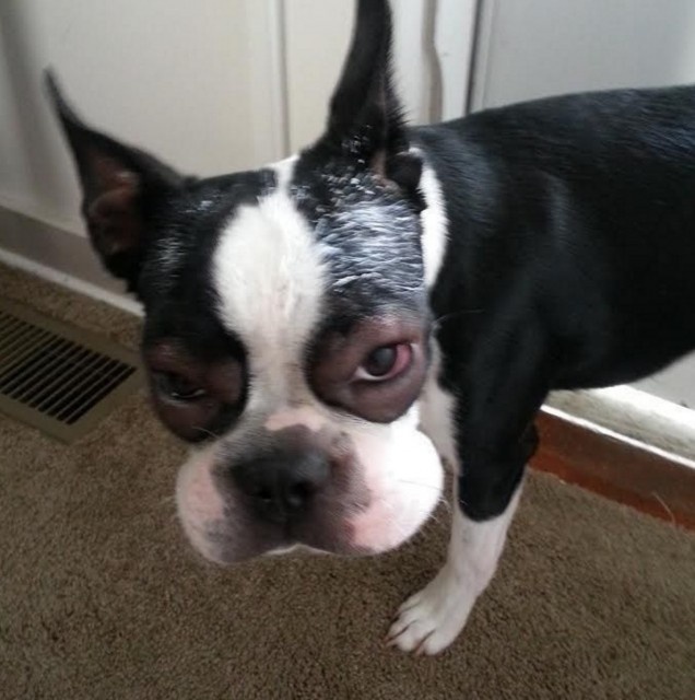 スクリーンショット 2016-04-24 19.59.57