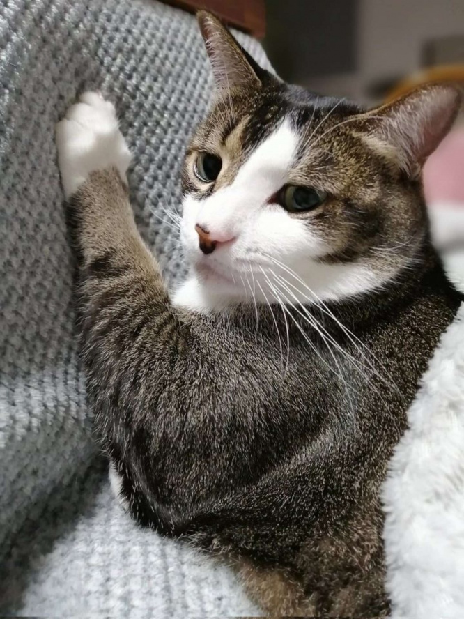 なんてたくましい腕...！！