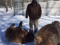 もっともっともっと遊んで！雪の中で繰り広げられる、クマズとおじさんの熱いイチャコラ