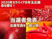 2020年カラパイアお年玉企画「赤を探せ」当選者発表！応募写真一部公開中