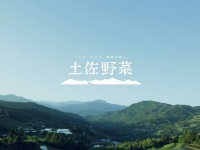 「こころ、かよう。野菜の便り。土佐野菜」メインイメージ