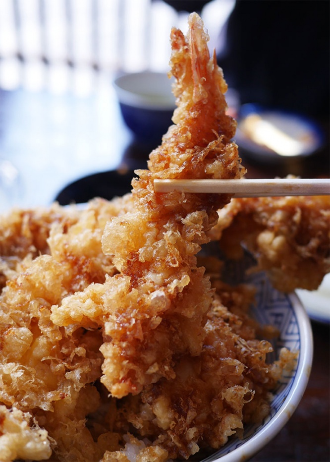 tendon9