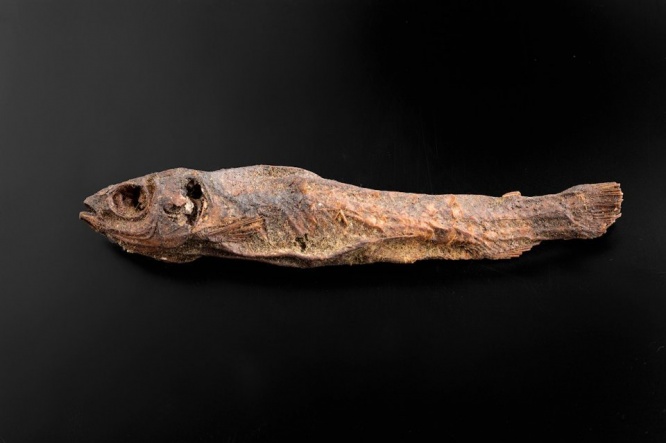 「干物にしか見えない」と噂の〝魚のミイラ〟　どういう存在？渋谷・古代エジプト美術館に聞く