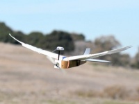 未来のドローンは鳥型になるかも？鳩の翼を持ち機敏に空を飛び回れるハトボット（PigeonBot）