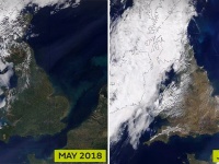 今年の夏が暑すぎるのは日本だけではなかった。熱波による世界各地の影響