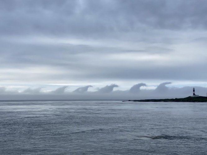 大間観光土産センター公式ツイッターより