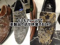 湿度の多い地域の革製品屋が休業するとどうなる？日常の「もしも？」の答えがわかる12の証拠写真