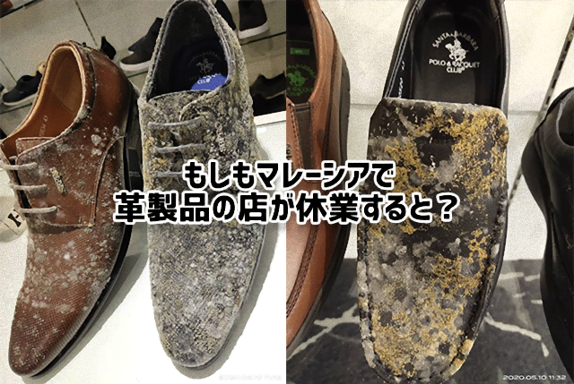 湿度の多い地域の革製品屋が休業するとどうなる？日常の「もしも？」の答えがわかる12の証拠写真
