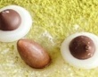 イラストレーターが生みだした〝おかしな鳥たち〟に4万人夢中　「ぐ、ぐうかわ」「かわいすぎて...」