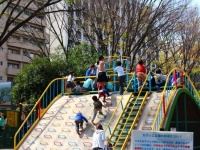 ＹＯＵ　息子が幼稚園のとき詠んだ俳句は「はーちゃん（ＹＯＵ）が　酒飲みすぎて　酔っ払う」
