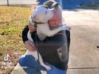 心の痛みを抱えていた保護犬が、愛犬を失くした家族と運命の出会いを果たす